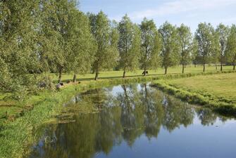 SkTsCCYjcEex8ALw40qCuQ