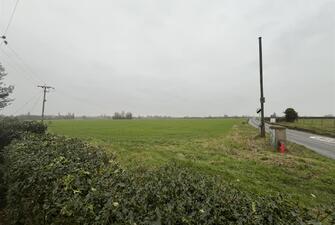 V3 YigNyV0afCWle2w8fLg