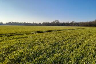 DnASQwZg2EKZVvuhnbhseQ