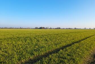 N ka5nOcLUiquP9O3ezJIA