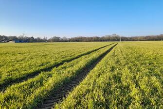 dFmhYz8k00yFCiU 69lkZA