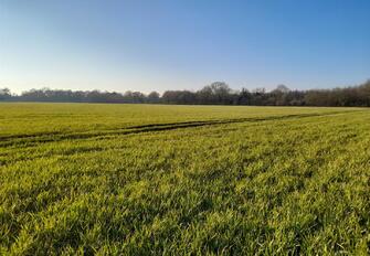 DnASQwZg2EKZVvuhnbhseQ