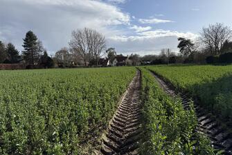 g x6VY6svE2 RVDX9rnX3w