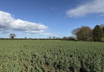 da33yOIJ 0GCA9 l6hUoxA