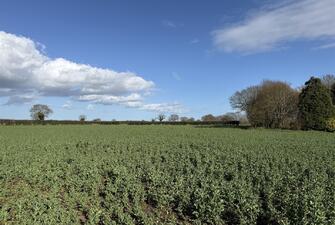 8u2 5hQ7P0qt3EQId8tsjw