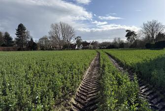 eFGd62vsBk 7laewY4FUA