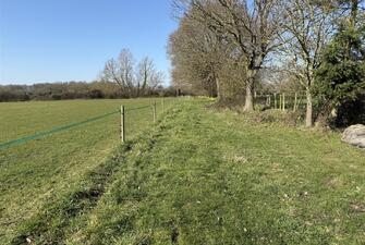 BqwrhIsXxkKAROnlyC4q0g