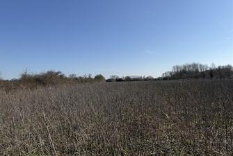 NvmT2TURWE6NYPvsrVC sQ