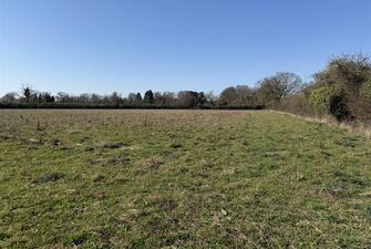 m7Pjf7Qi6EWeTDJTZV8GhQ