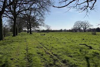 qjacR999TkG Juq9Ld dlA