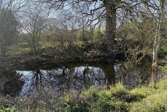 ua6QCDIn1kijGDlcPCFsZQ