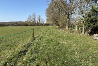 RsbxZVANj06jiB 5PlUfgg