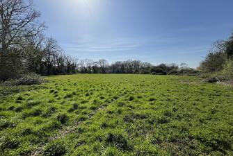 iDfVrr1 1EioPweafyf DA