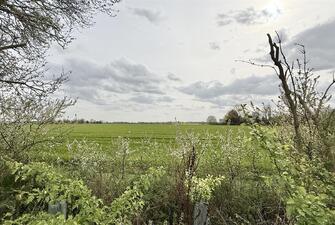 qOiS8 pZZ0SNCs1mjKgLzg