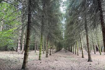 IQHr KD3jUyY9tGPSdE6HA