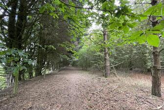 rMz6G8HhUEG1ZdkWNu7JoQ