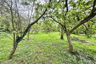 8iCJoqX EWWC21DKWSMDQ