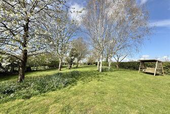 ZlBHy44TFk2ROo2brZMVzw