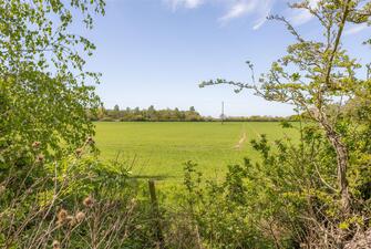 EwORRNJppkKTd60ZYPYkLA