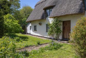 mmtXlMPTSkeCcX6 riby6g