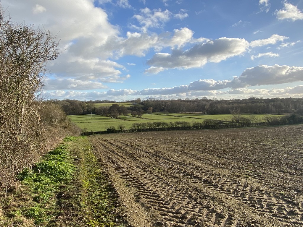 Houses for sale Norfolk & Suffolk TW Gaze