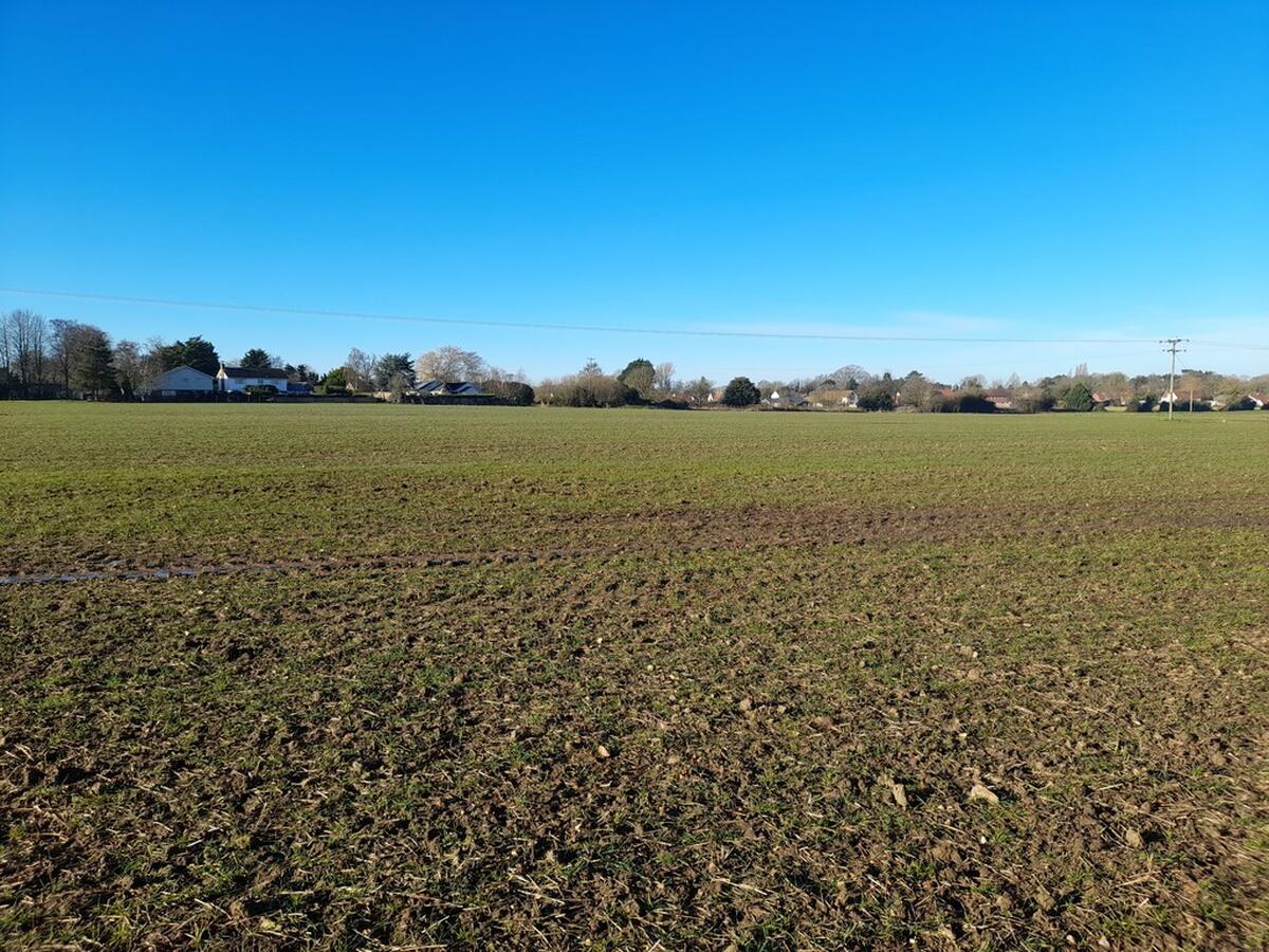 Land For Sale Norfolk Suffolk TW Gaze