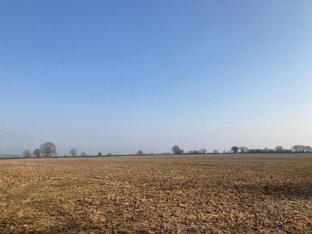 Land For Sale Norfolk Suffolk TW Gaze
