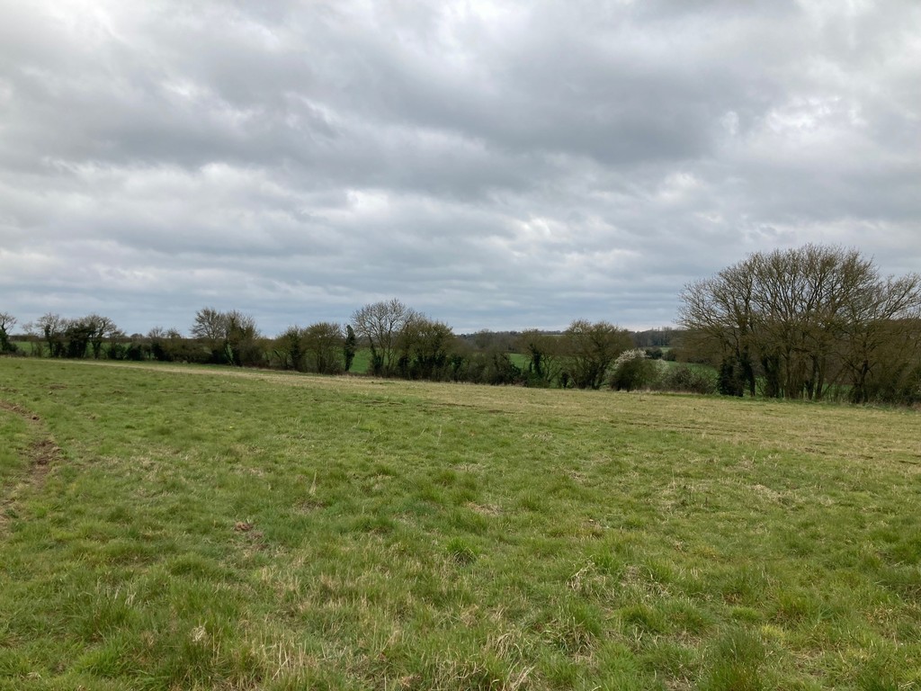 Land For Sale Norfolk Suffolk TW Gaze