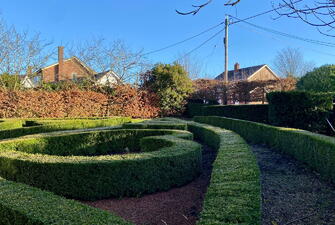 IMG 0351 1736856377216