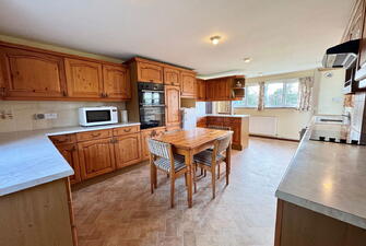 IMG 3689 1739282150782