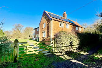 IMG 6216 1739283266556