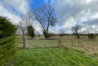 IMG 6638 1739445504598