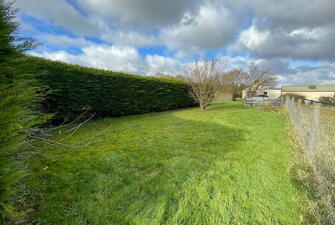 IMG 6640 1739445504602