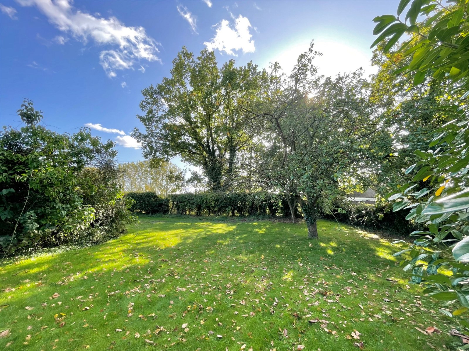 Houses for sale Norfolk & Suffolk TW Gaze