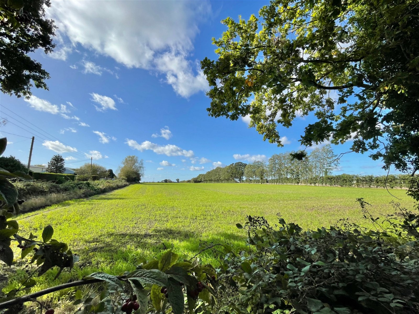 Houses for sale Norfolk & Suffolk TW Gaze