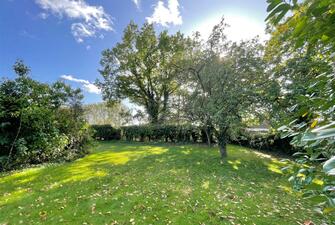 IMG 1428 1697446804509