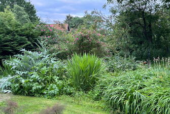 IMG 7969 1738079787832