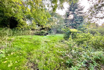 IMG 2012 1729680403533