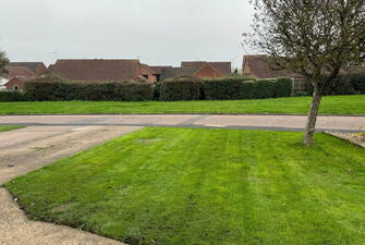 IMG 3090 1731514618224