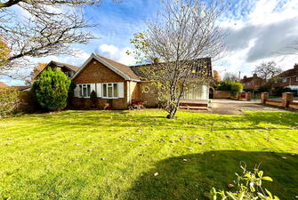 IMG 2242 1731336756565