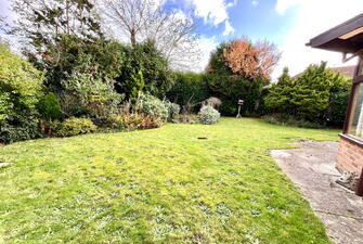 IMG 2262 1731336756506