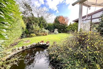 IMG 2263 1731336756514