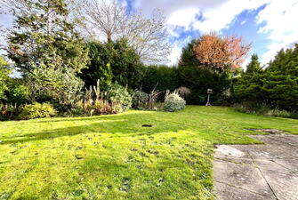 IMG 2264 1731336756520