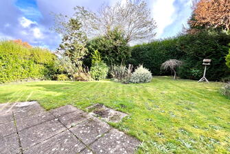 IMG 2265 1731336756524