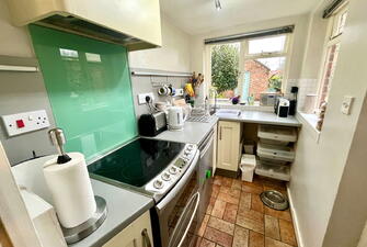 IMG 2982 1739533798495