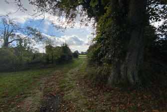 IMG 0248 1730472647833