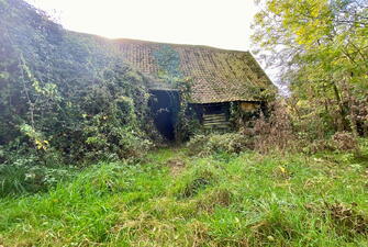 IMG 0269 1730473379355