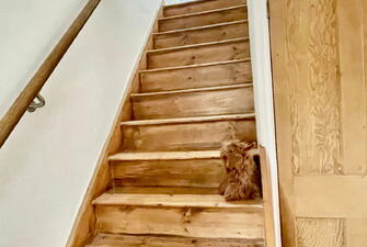 IMG 6146 1738063151090