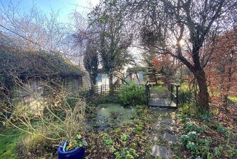 IMG 0377 1737462660082