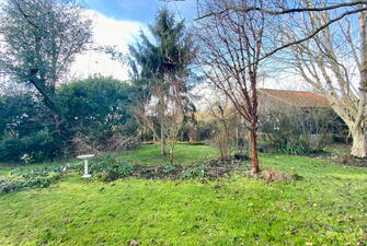 IMG 0379 1737462843441